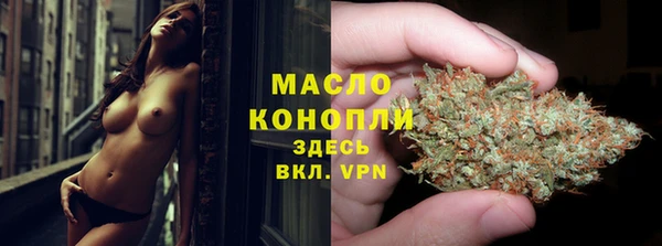 Альфа ПВП Бородино