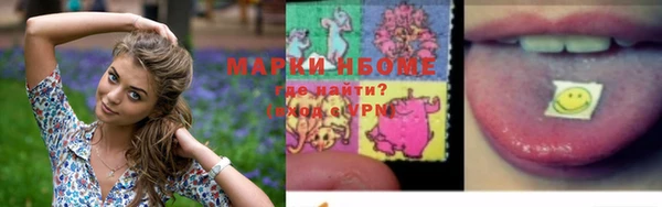 Альфа ПВП Бородино