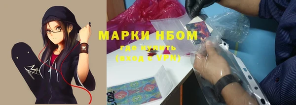 Альфа ПВП Бородино