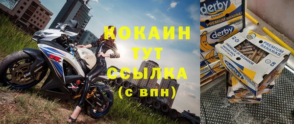 Альфа ПВП Бородино
