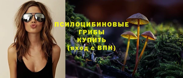 дмт Бронницы