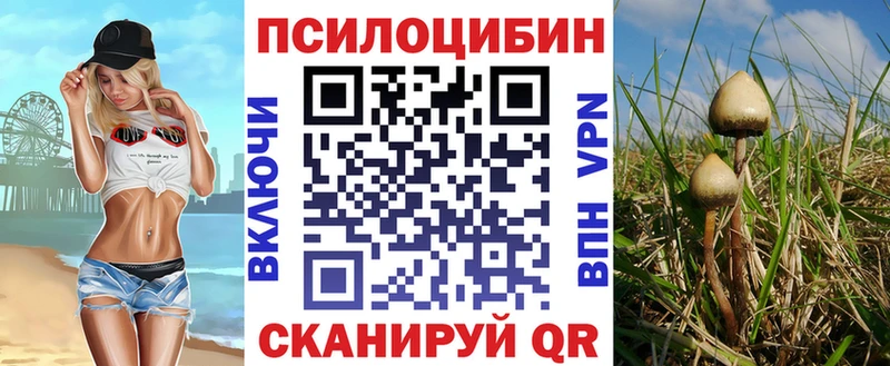 даркнет сайт  Малаховка  Псилоцибиновые грибы прущие грибы 